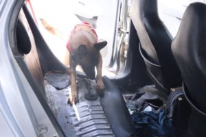 BNNP SULTENG DIBANTU K-9 SQUAD DIT SHABARA POLDA SULTENG GELEDAH MOBIL TERSANGKA NARKOTIKA BNNP SULTENG DIBANTU K-9 SQUAD DIT SHABARA POLDA SULTENG GELEDAH MOBIL TERSANGKA NARKOTIKA