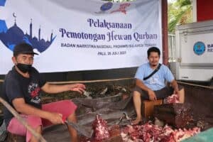 BNNP SULTENG MELAKSANAKAN PEMOTONGAN HEWAN QURBAN